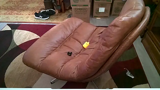 Show Webcam de TXRyan1996
