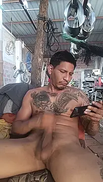 Show webcam de cielo420
