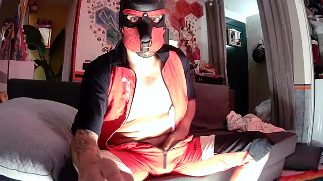 danix_wild_wolf – webcam-show