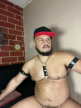 Chat XXX Live the_master_foal_