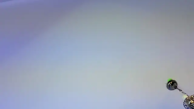 Yan_Cat Webcam Show