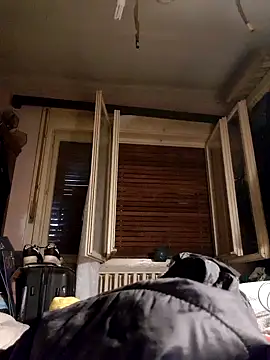 Show webcam de Havannabroklen2
