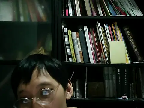 Lv8763's Webcam Show