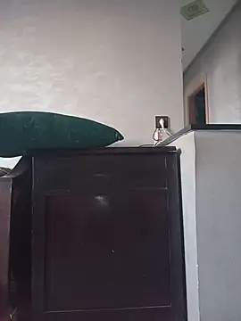 عرض كام lily_sx