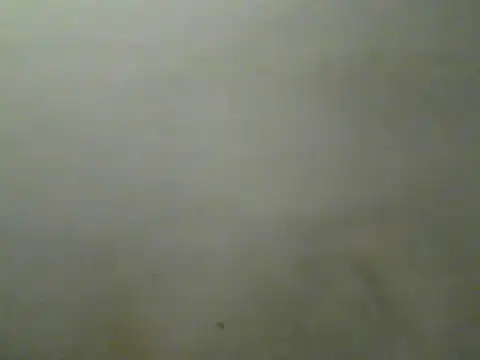 Show de webcam de Foxboy65