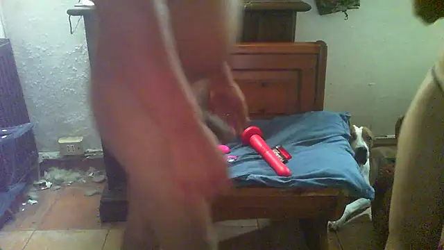 tixyanal70's Live XXX Chat