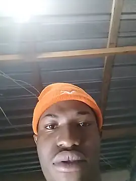 Breezyvikkyn Webbikameraesitys