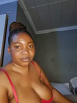 theplayfulmaid Show in webcam