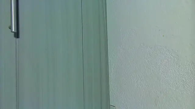 Jeff_Kent2 现场XXX聊天