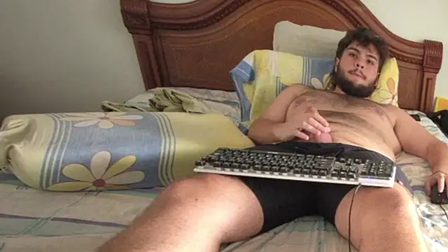 lipzardn Webbikameraesitys