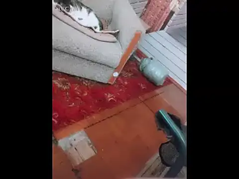 Вебкам-шоу PleasingPilot1