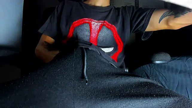 Sebastian_Foxter Шоу с уебкамера