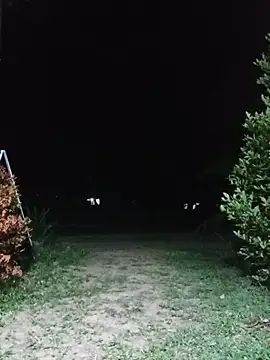 Hiptonos élő XXX-chatje