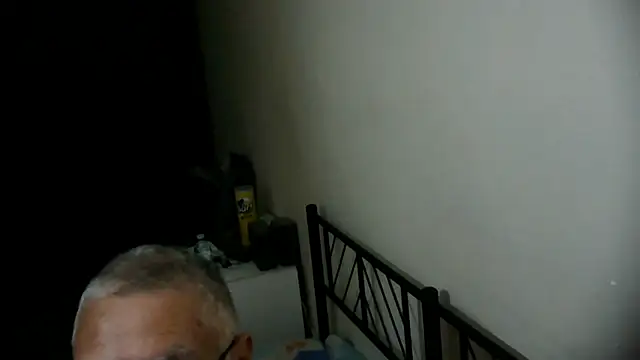 Show modela 100Tauros na web-kameri