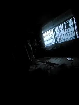 Qier666 即時 XXX 聊天