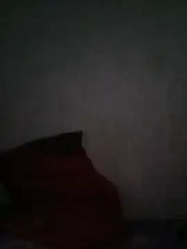 Sembang XXX Secara Langsung ShaniNsula2026