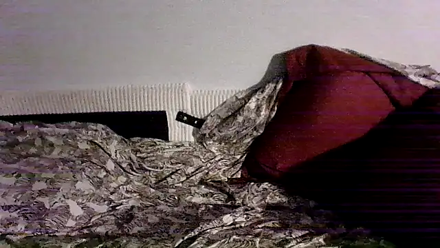 Show webcam de Toofat4you