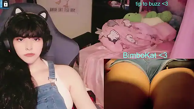 Show Webcam de BimboCat
