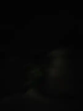 WalterSpying Webcam Show