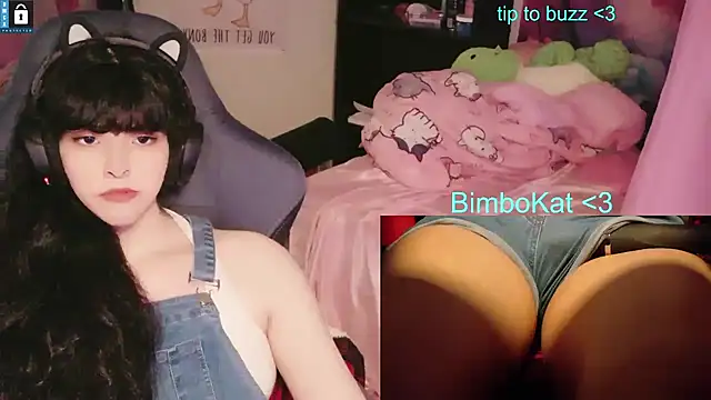 Show webcam de BimboCat