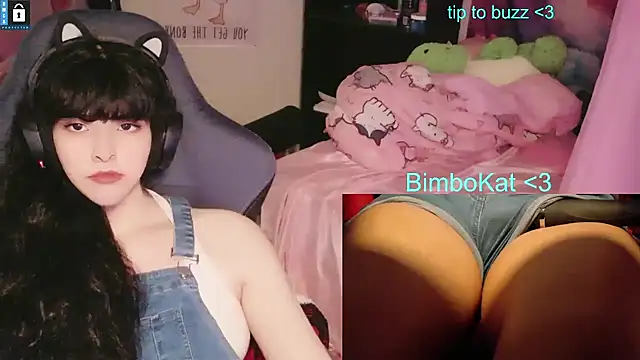 Вебкам-шоу BimboCat