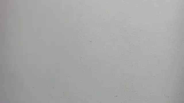 valeria_martinez19 Obrolan Langsung XXX
