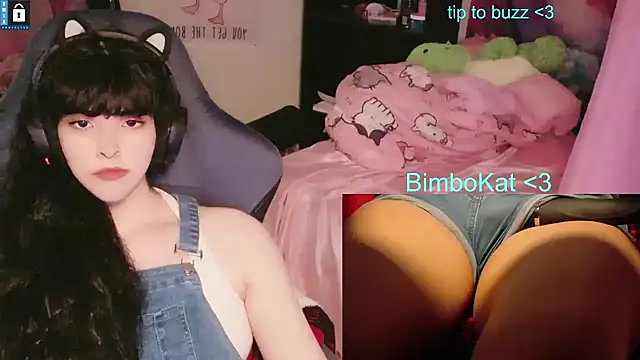 BimboCat 웹캠 쇼
