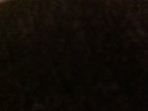 Sexy_ebony_BunNey's Webcam Show