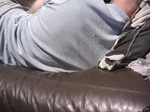 handyandyhandy's Webcam Show