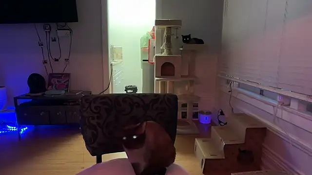 itsmeathen's Live XXX Chat