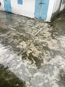 XUANHAAI 网络视讯表演