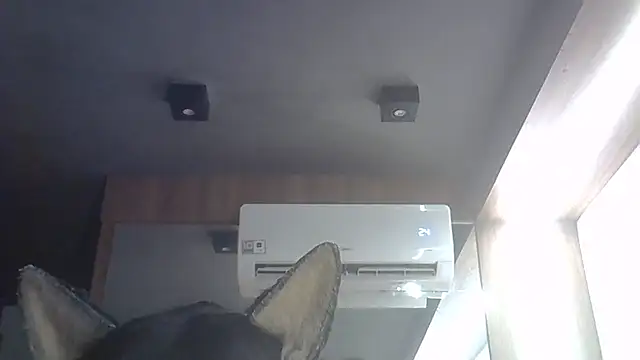Show de webcam de SkinnyKitten