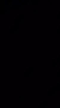 chronic_vibezのウェブカメラショー