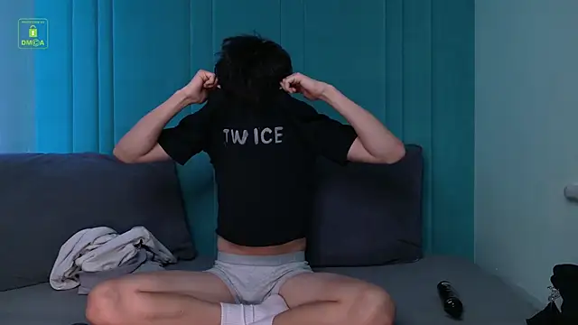 Show Webcam de HeejinWang