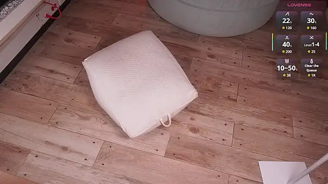 Show webcam de Samai_3