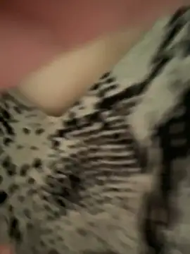 Emily-y Show Webcam
