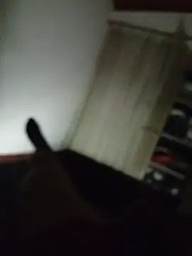 mcl_sx Webcamshow