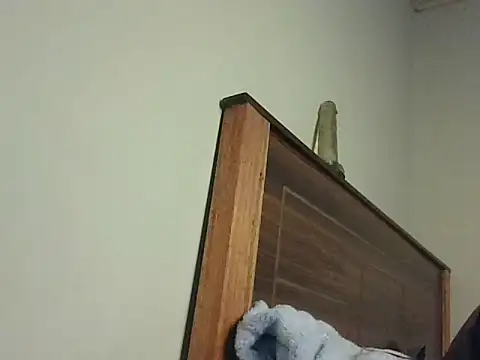sexycutiey live XXX chat