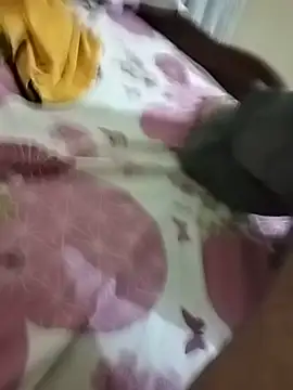 El_sfaa7_n Webbikameraesitys