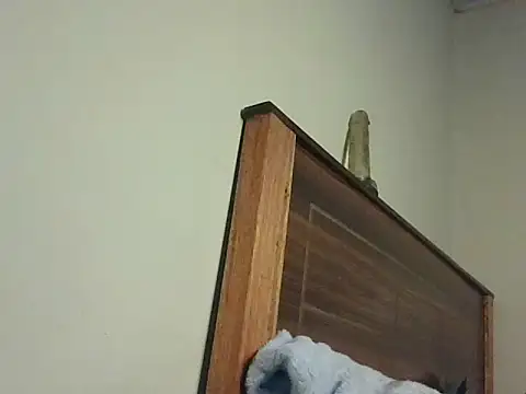 sexycutiey Live XXX-chat