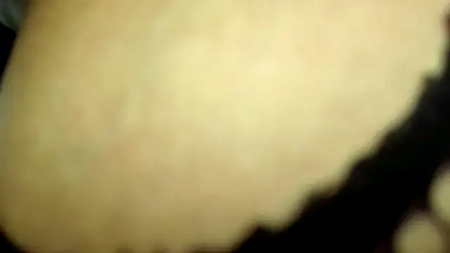 wilmaassylum live XXX chat