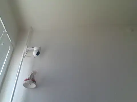 Show webcam de DollpetaL