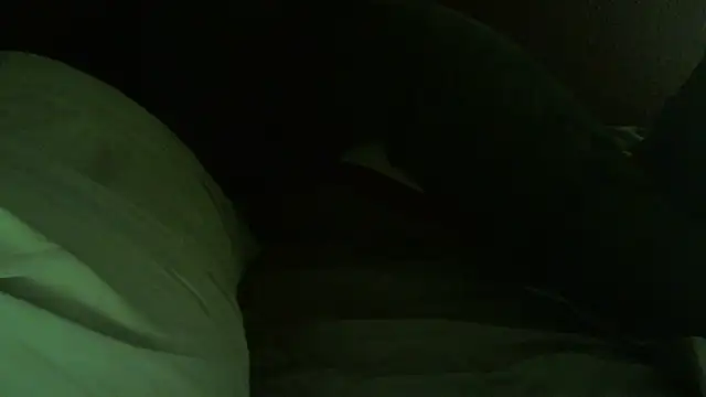 Show webcam de immikew1975