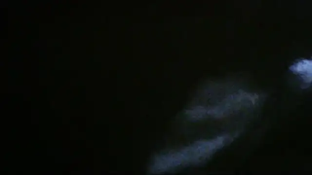 flayeyena XXX чат на живо