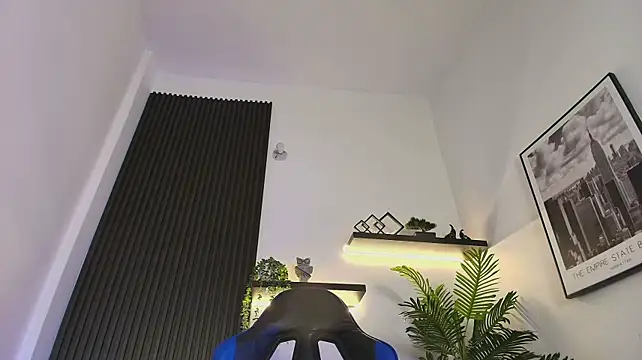 Webkamerová show Derek_Vow