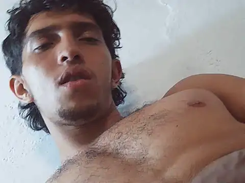 Show webcam de Noscay