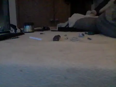 Show Webcam de Silencio26