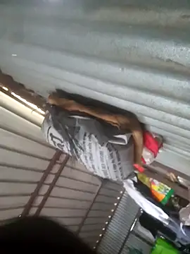 Marathi_boy2004n Webbikameraesitys