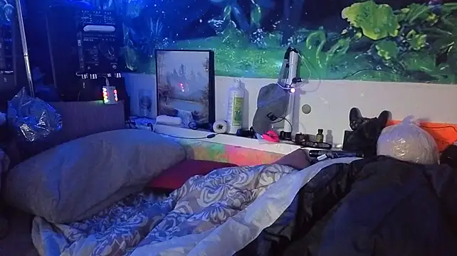 Cojote XXX чат на живо