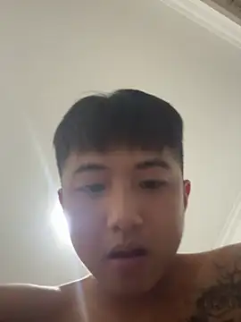 8k6660 网络视讯表演